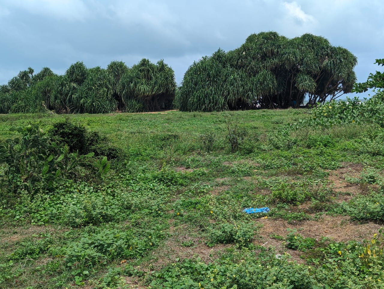 Wadduwa - Beach Land
