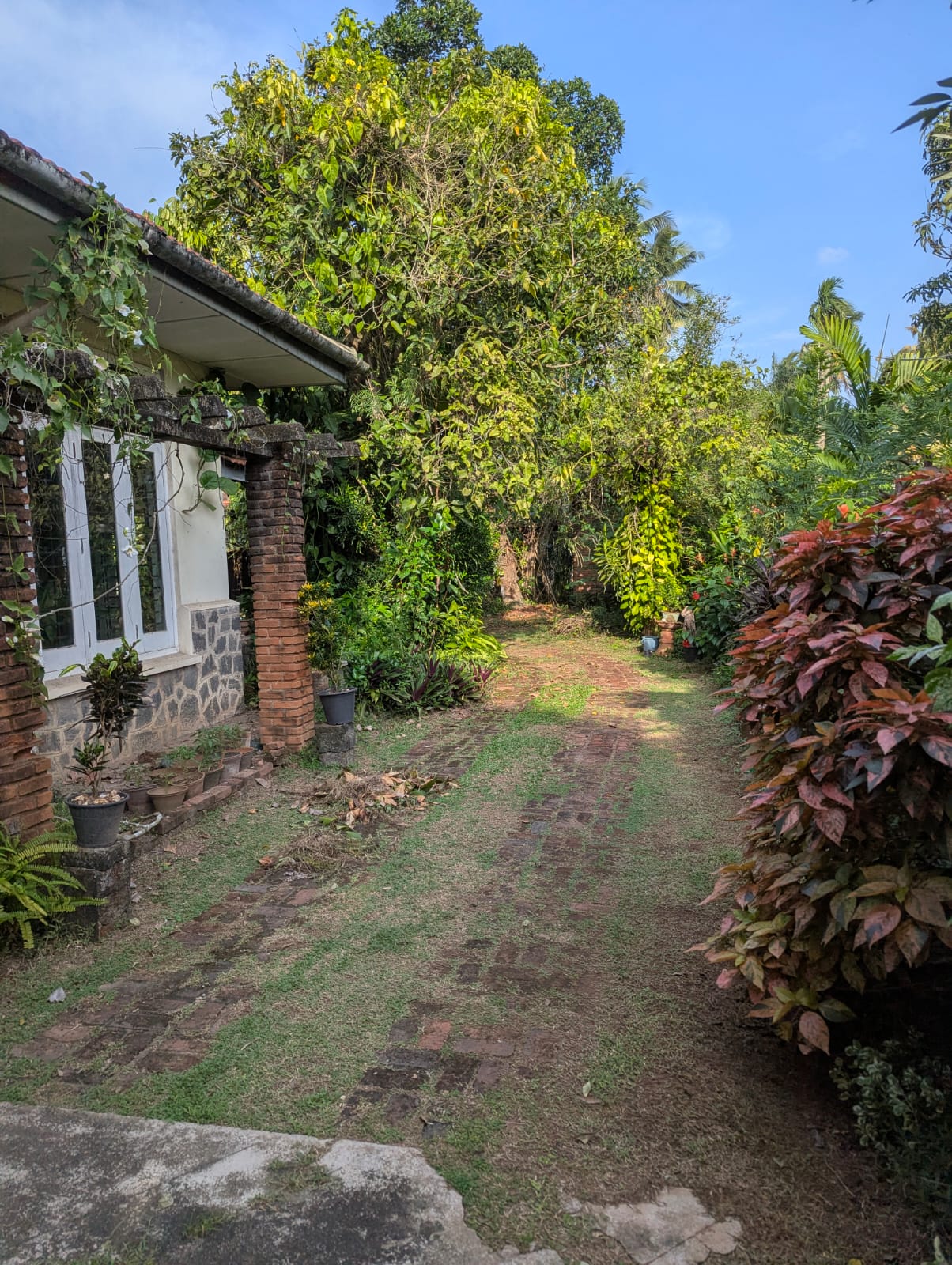 Land for Sale Mt Lavinia