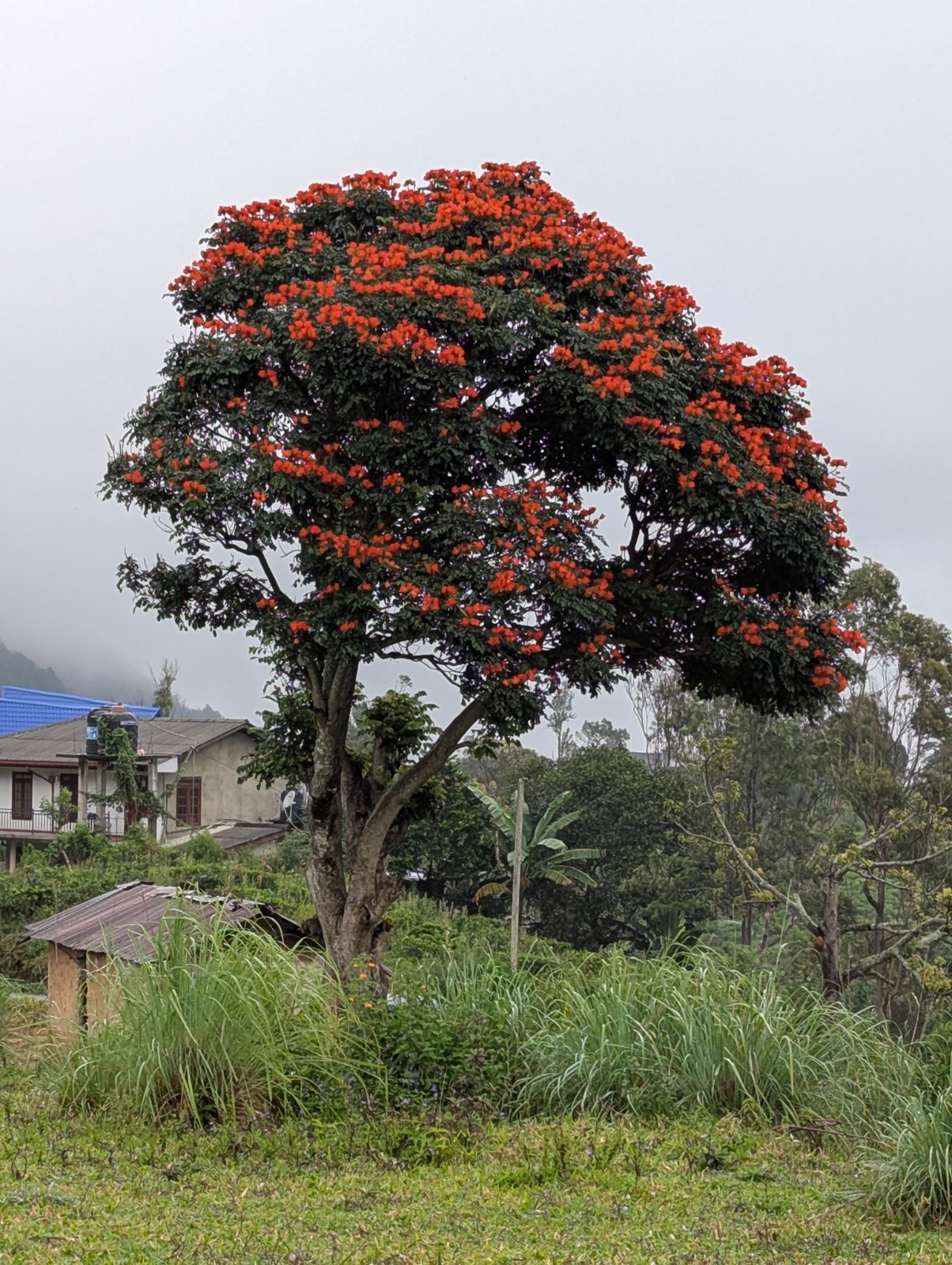 💎  27-ACRE LAND FOR SALE IN ELLA💎