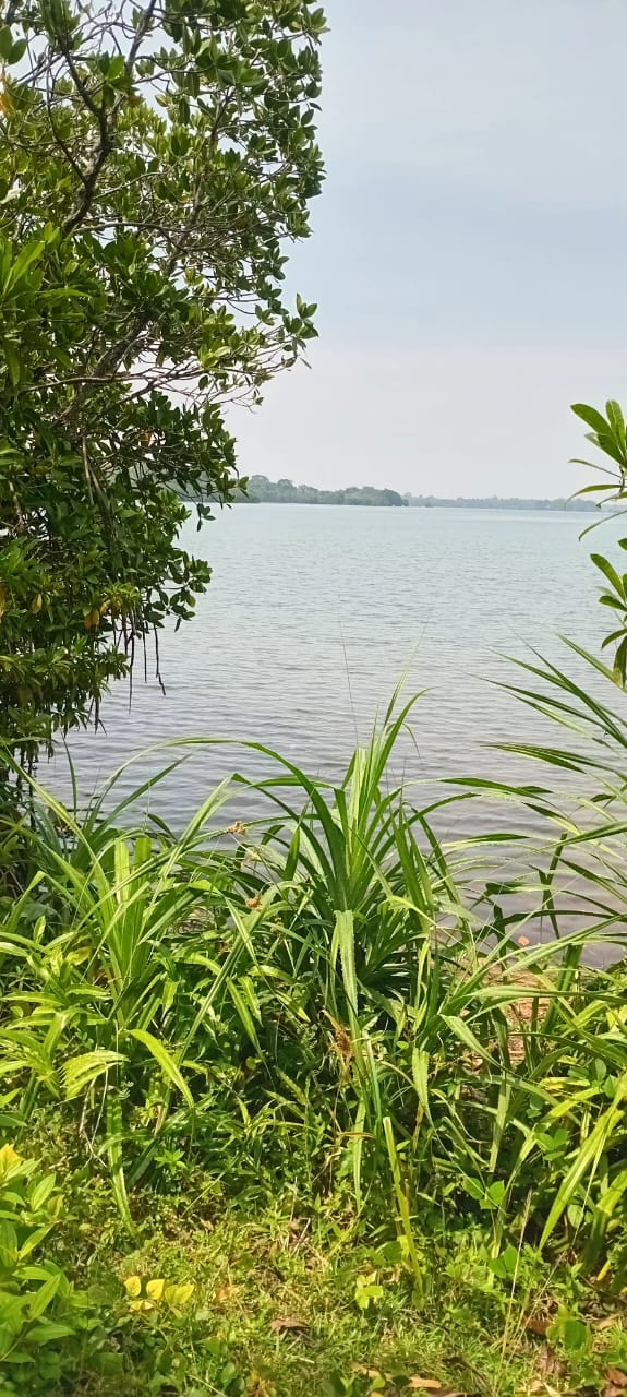 Lake facing Land for sale Ahangama